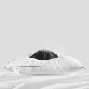 Low Pillow Classic Black