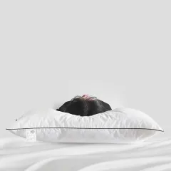 60S Cotton A Class Baby-grade Non-fluorescent Hotel Pillow Pillow Pillow - Low Pillow Classic Black - View 1