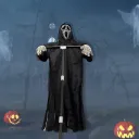 Whole Set