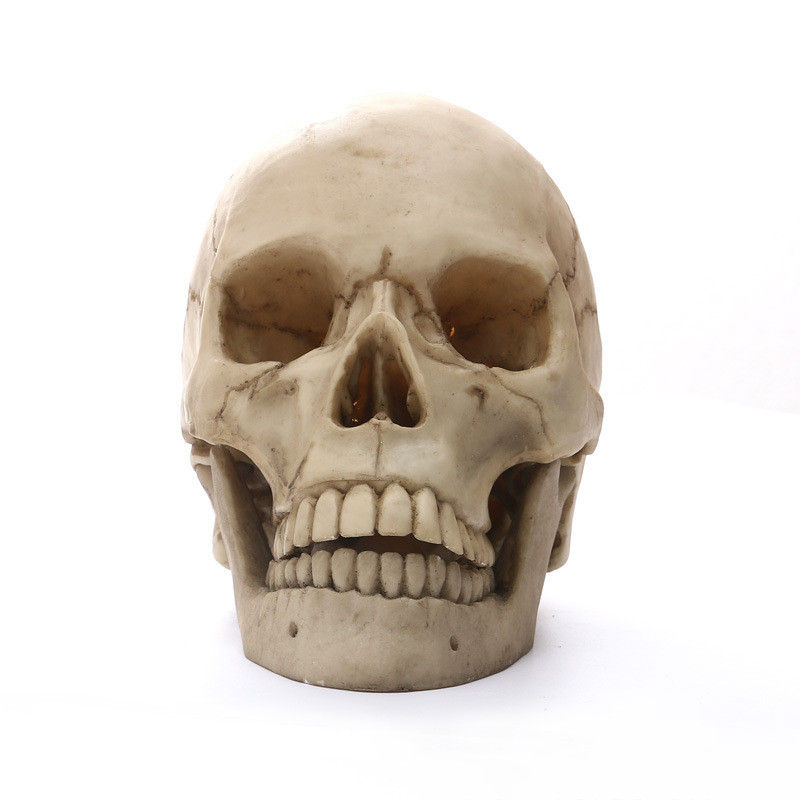 Resin skull head craft ornament (painted)