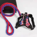 Red And Blue