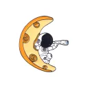 Watching The Moon