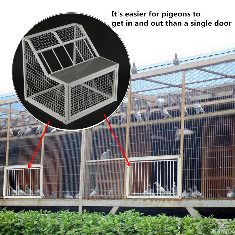 Pigeon Loft Door Removable Trap Door 4 Inlet Pigeon Entry