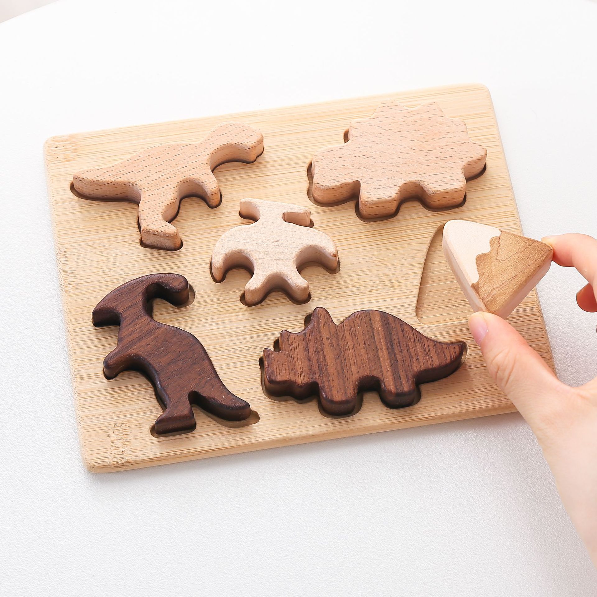 Dinosaur cognitive puzzle