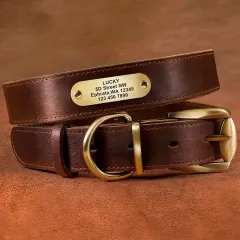 Genuine Leather Cow Leather Engraved Anti Loss Dog Collar - Dark Brown - View 1