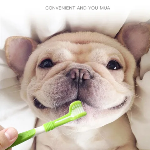 Pet Silicone Finger Toothbrush Dog Three-head