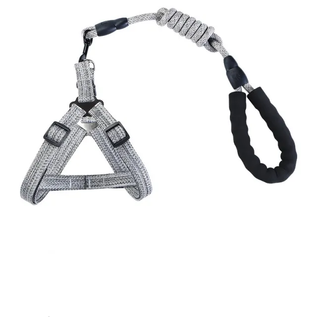 EVA Reflective Pet Dog Leash Collar Set Grey - Shop at LoveMi
