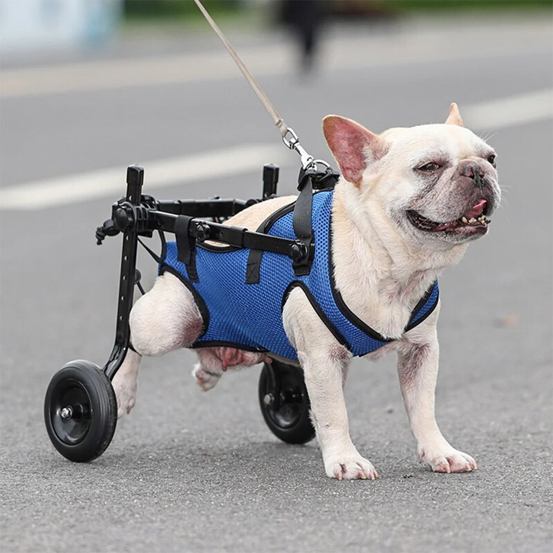 M Adjustable Pet Wheelchair For Cats & Dogs Rear Leg Mobility Aid Support — image 10