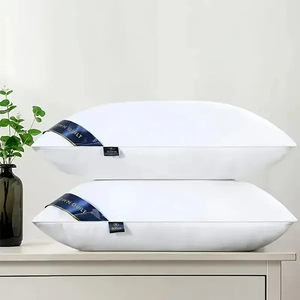 Experience Hotel Sleep: 2 Premium Blue Bed Pillows