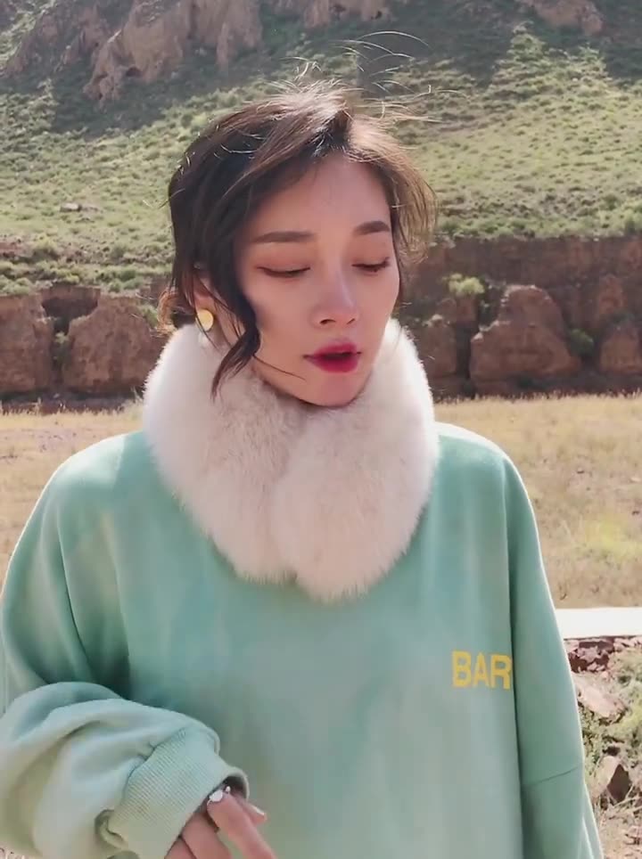 Solid Color Fashion Female Winter Fox Fur Scarf Fake Collar Bib