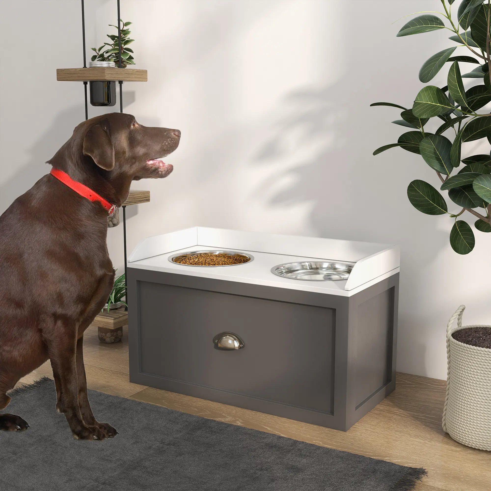 Stainless Steel Raised Dog Bowls