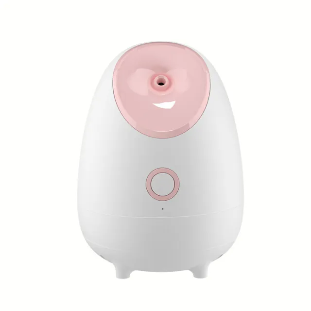 Household Fruit And Vegetable Spray Moisturizing Steaming Facial White - Shop at LoveMi