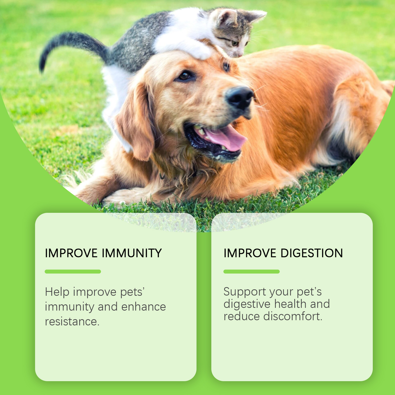 Pet Probiotics & Vitamin Tablets For Dogs & Cats, Gut Health Supplement, Support Digestion & Immune System, 80 Chewable Tablets — foto 9