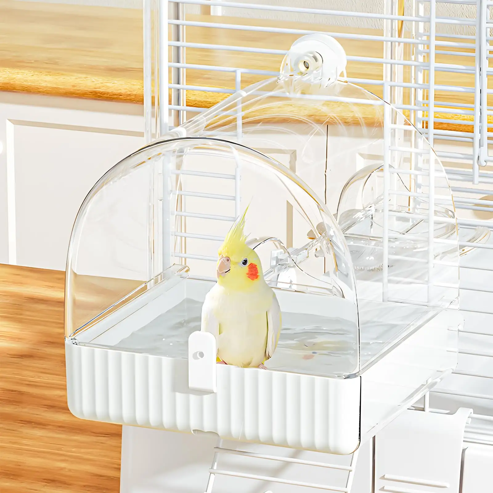 Hanging Bird Bath For Cage, 3