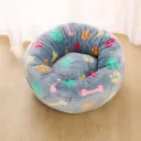 Colorful Bones