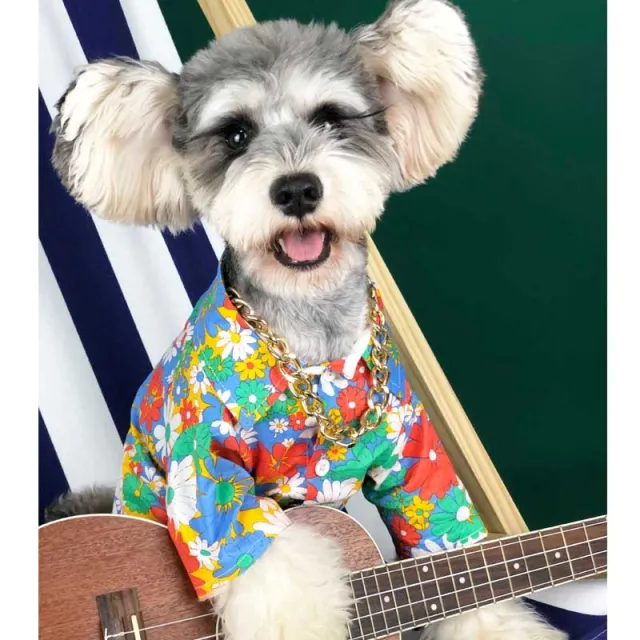 Dog Clothes Small Dog Summer Thin Flower Shirt Teddy Schnauzer Corgibago Cat Cotton Pet Clothes Flower Shirt - Shop at LoveMi
