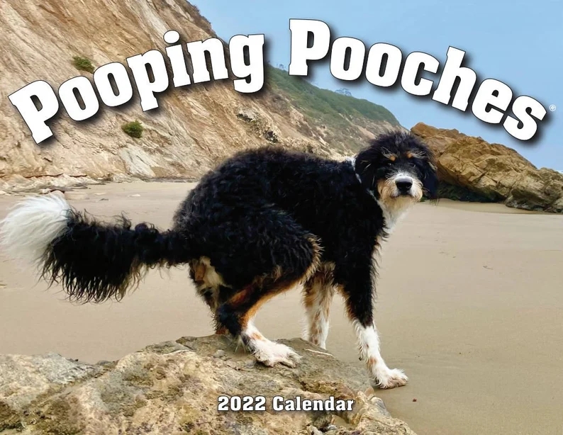 Dog Poop Calendar Animal Parody Desk Calendar (As shown)