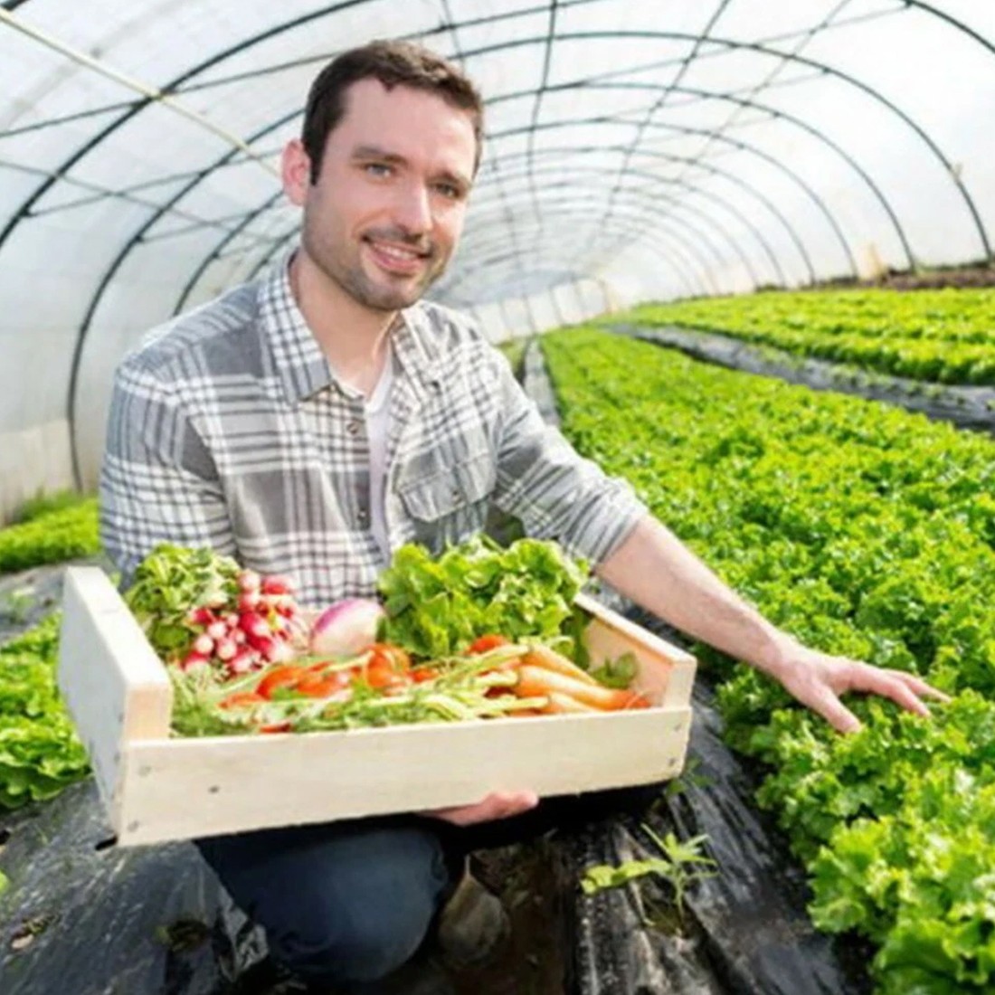 2M 25M Wide Extra Heavy Duty Garden Weed Control Fabric Ground Cover Membrane UK