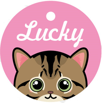 Pet Card Custom Lettering Identity Plate 9 Style - Shop at LoveMi