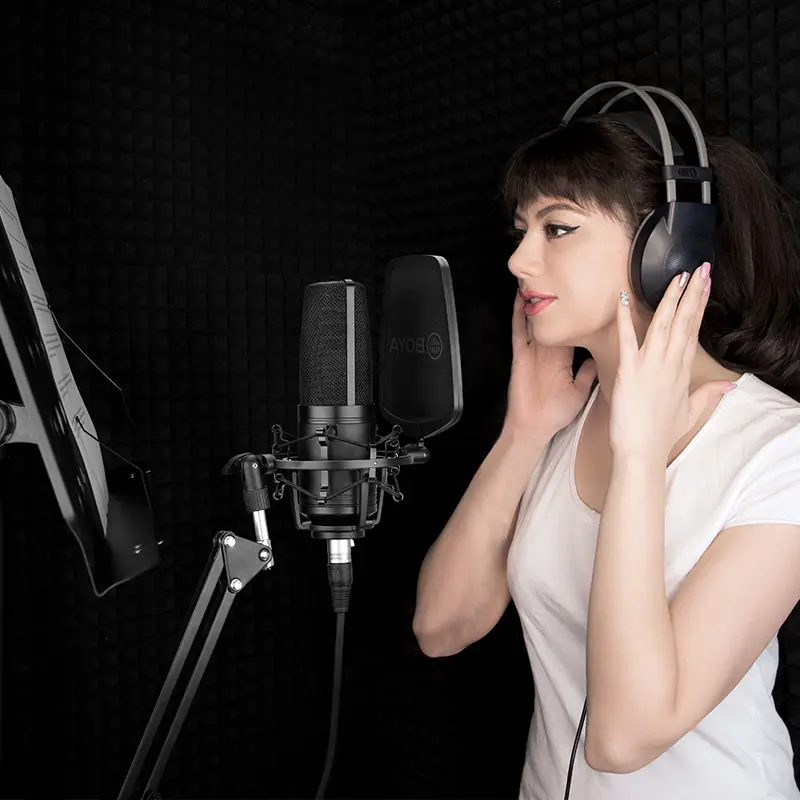 Capacitive Microphone Large Diaphragm K Song Computer