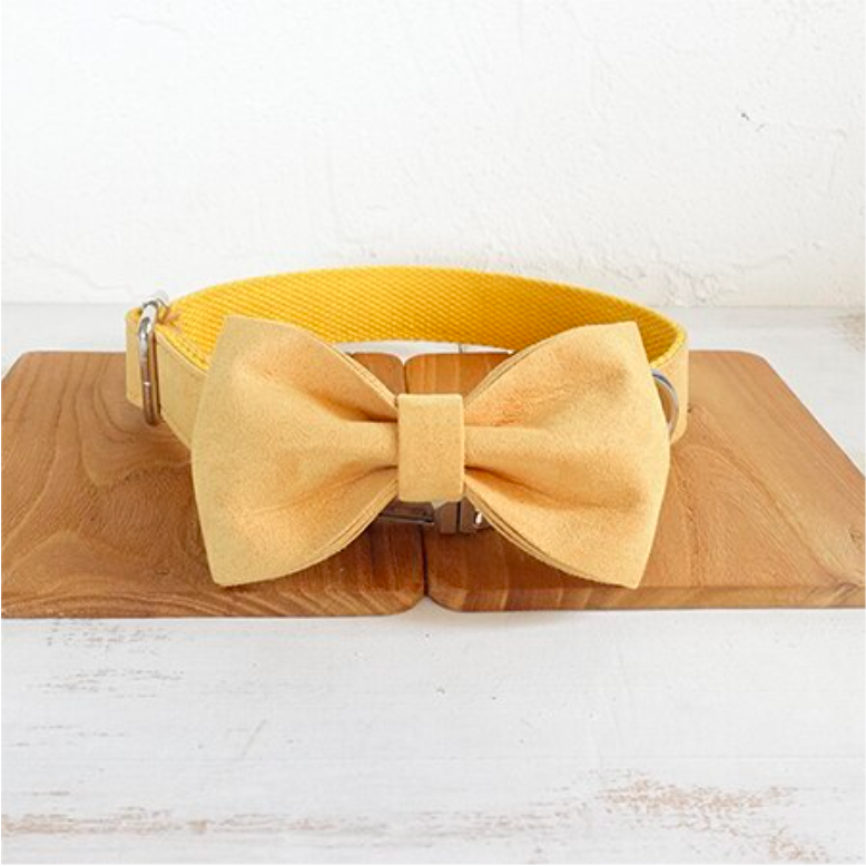 Bow plus Collar