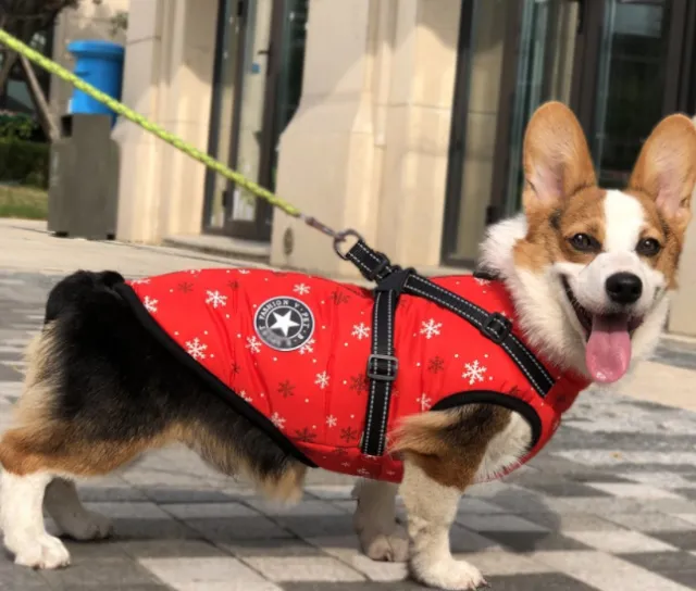 Pet Dog Clothes For Small Dogs Winter Warm Dog Hooded Coat Jackets Chihuahua Pug Outfits Puppy Cat Clothing Snowflake - Shop at LoveMi