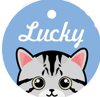 Pet Card Custom Lettering Identity Plate 1 Style - Shop at LoveMi