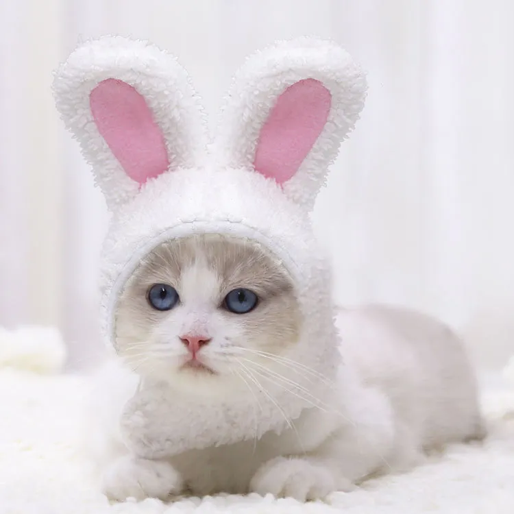 Fashion Warm Rabbit Ears Pet Hat - White