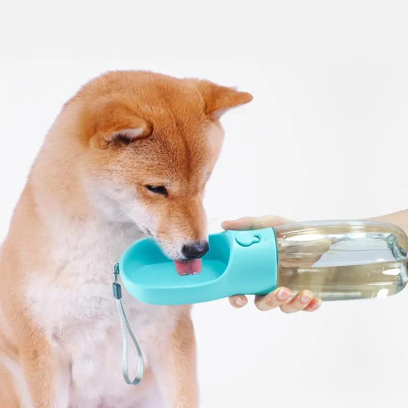 Large Capacity Outdoor Portable Travel Pet Water