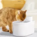 Plastic Tray