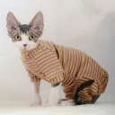 Brown Stripe