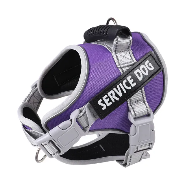 Dog Leash Pet Supplies Explosion proof Chest Strap Purple - Shop at LoveMi