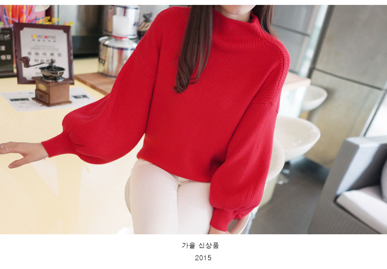 Title 4, Korean Style Loose Puff Sleeve Loose Pullover