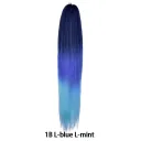 7Color