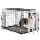 42Double Door