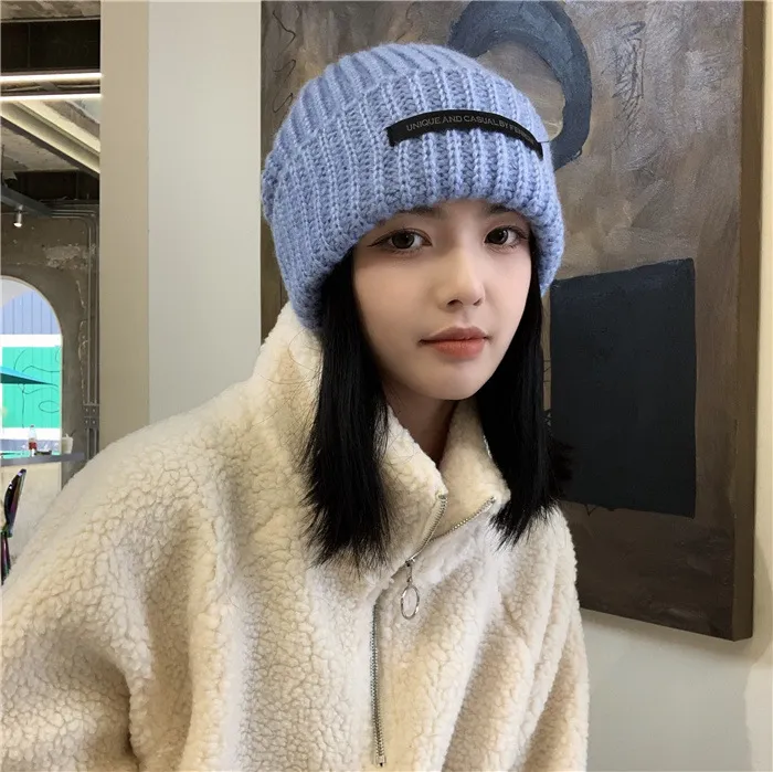 Hat Women's Autumn And Winter New Patch Net Red Big Head Woolen - Light Blue