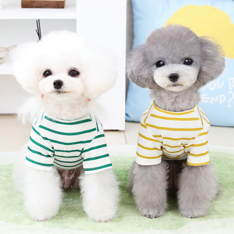 เสื้อยืดสุนัขพันธุ์ปอมเมอเรเนียน Teddy ขนาดเล็ก ลายหมีน่ารัก ใส่สบาย เหมาะสำหรับสัตว์เลี้ยงสุดรัก