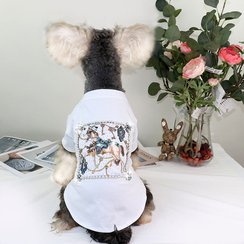 Title 3, T-shirt Schnauzer Teddy Estivo Sottile Cavallo ...