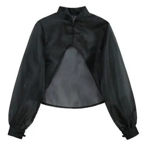 Thin Mesh See through Overlay Blouse Black - Shop at LoveMi
