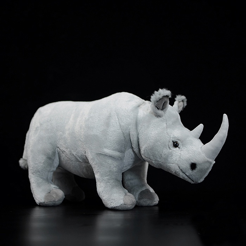 Rhinoceros