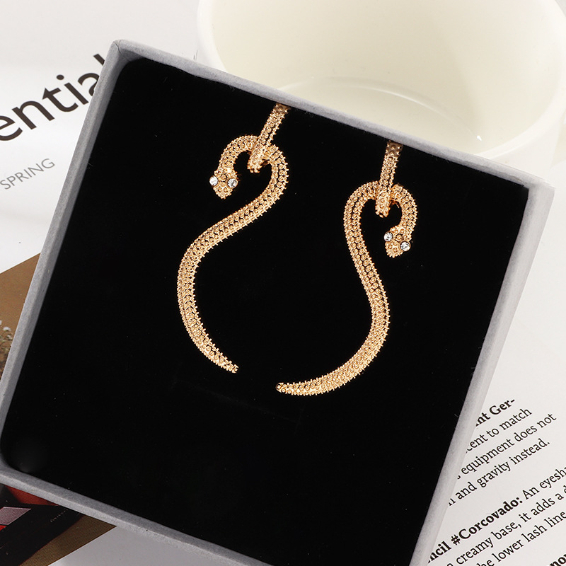 Personality Snake-shaped Earrings Trendy Metal Curved Geometric Stud Earrings