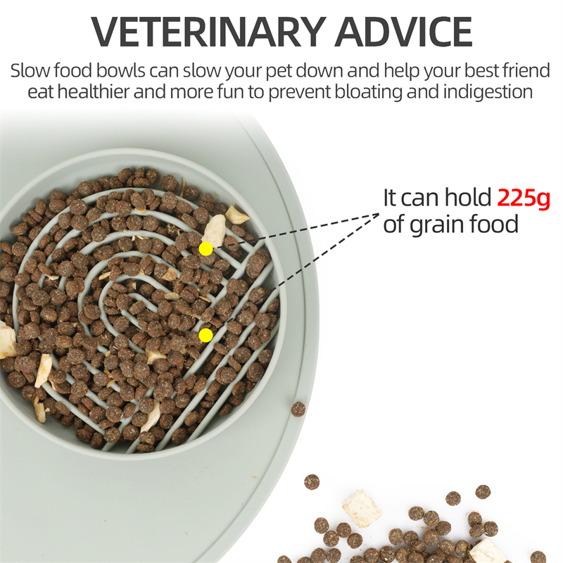 pet-slow-food-bowl