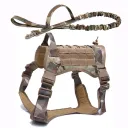 Camouflage Set
