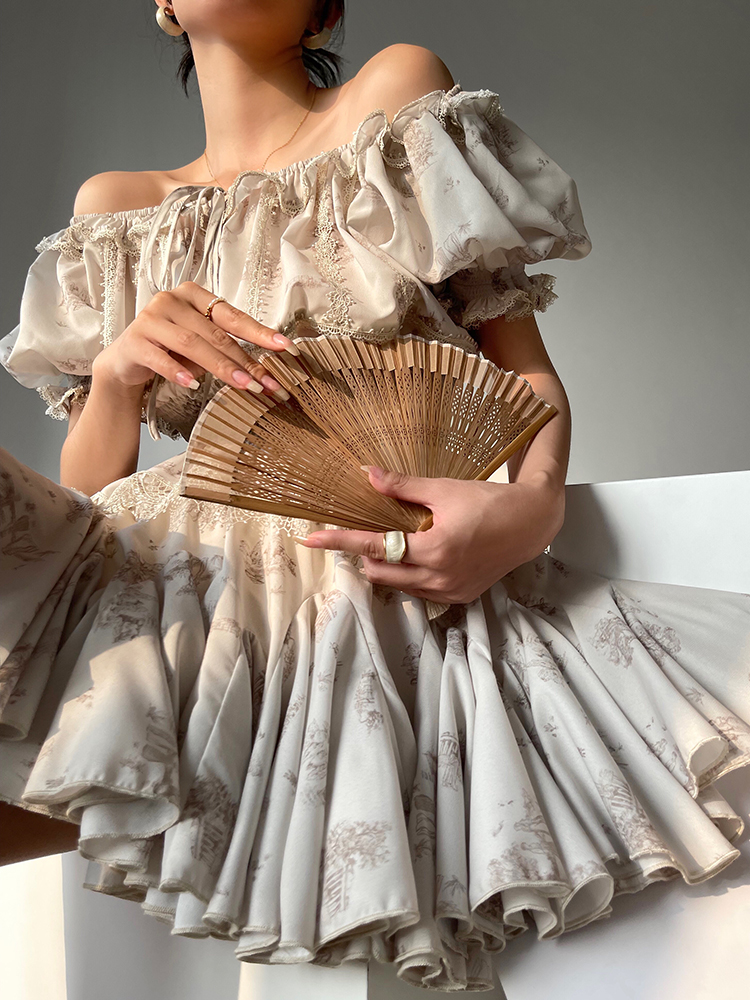 Women's French Print Lace Dress With Waist Tucked In