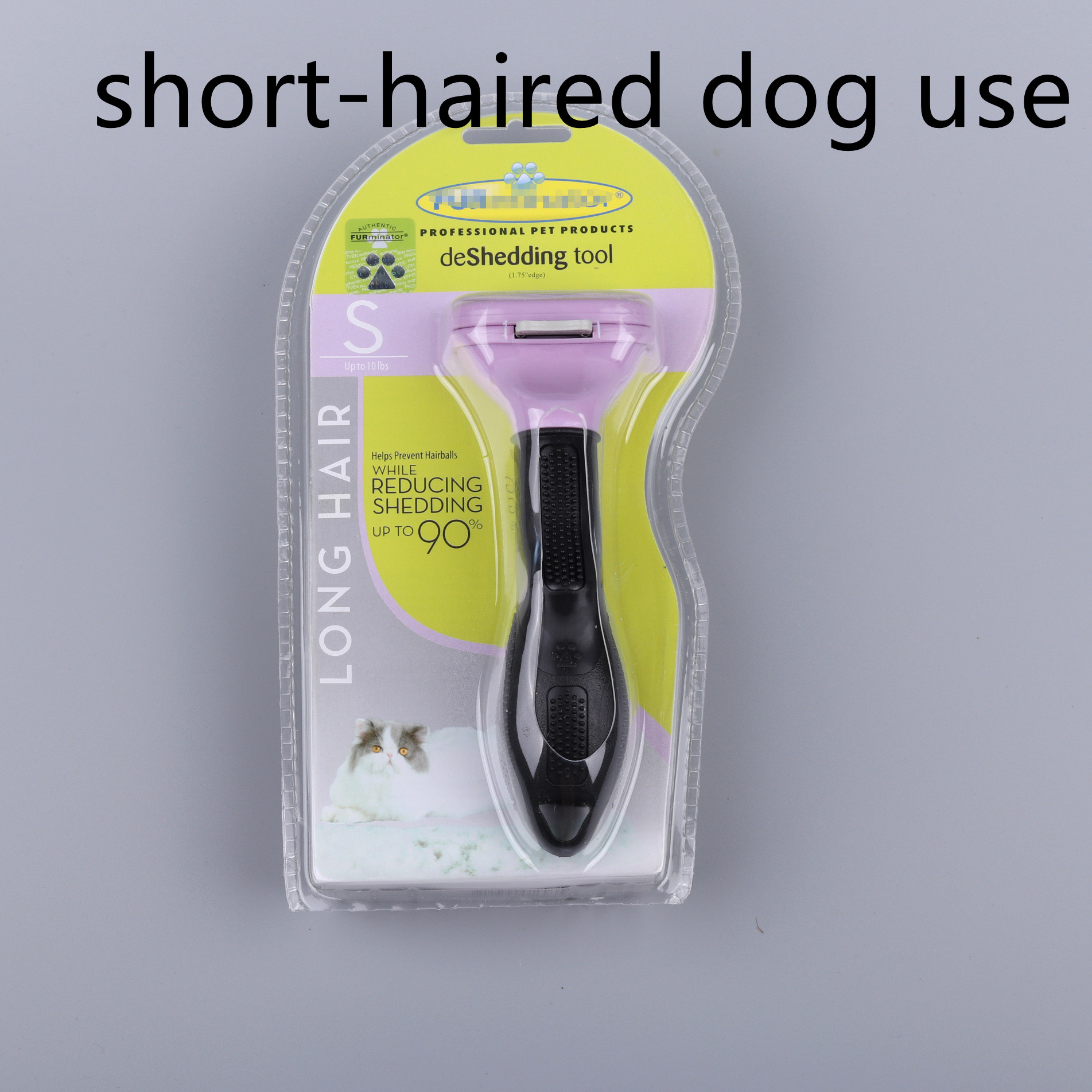 Shorthaired dog use purple A