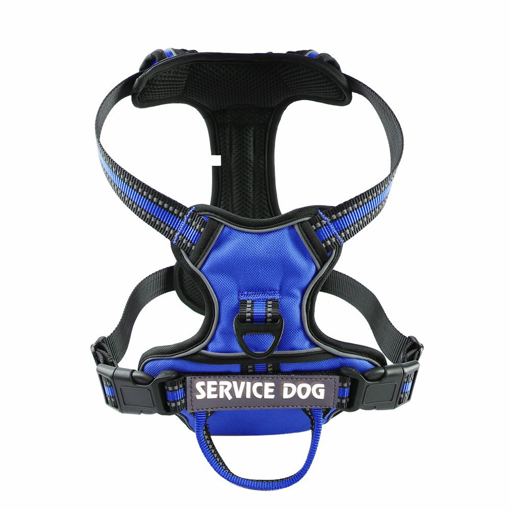 Oxford Cloth Strap Personalized Dog Back Blue - Shop at LoveMi