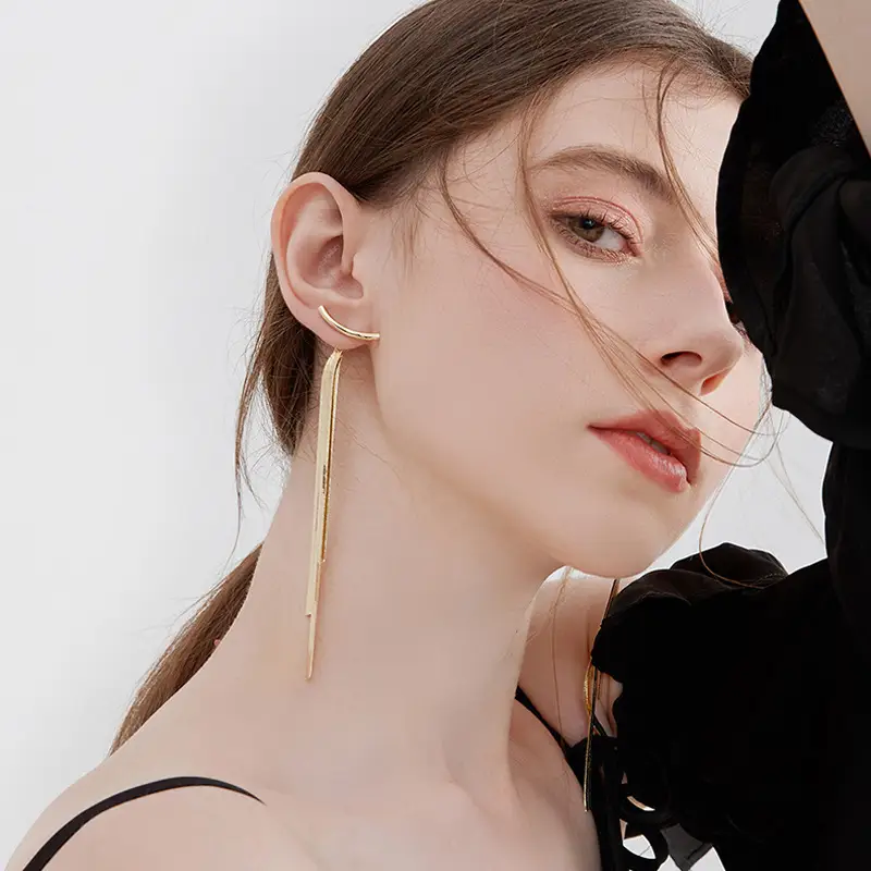 Tassel Earrings Female Temperament Simple Cold Style