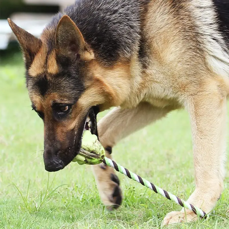 Ball Knot Dog Toys, Interactive Puppy Toys For Tug-of-war, Eco-friendly Cotton Rope Toys, Medium And Small-sized Dog Breeds, Not Suitable For Dogs With Strong A
