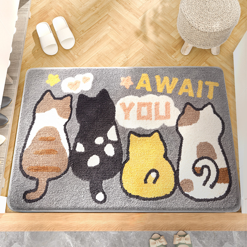 Indoor Absorbent Non-slip Mat Home Foot Mat Entrance Hall