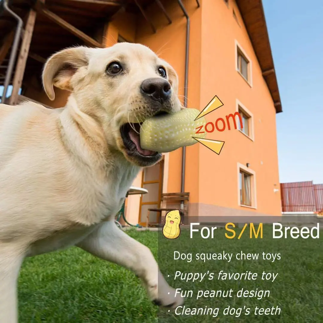 Funny Pet Dog Squeaky Toys For Small Middle Dogs Bite Resistant Puppy Cat Dogs Toys Pets Rubber Peanut Clean Tooth Chew Toy – image 5
